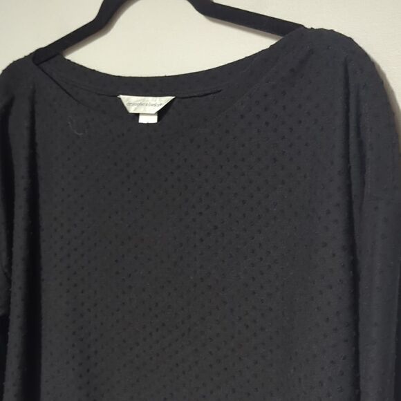 Christopher and Banks Black Swiss Blouse - Picture 2 of 6